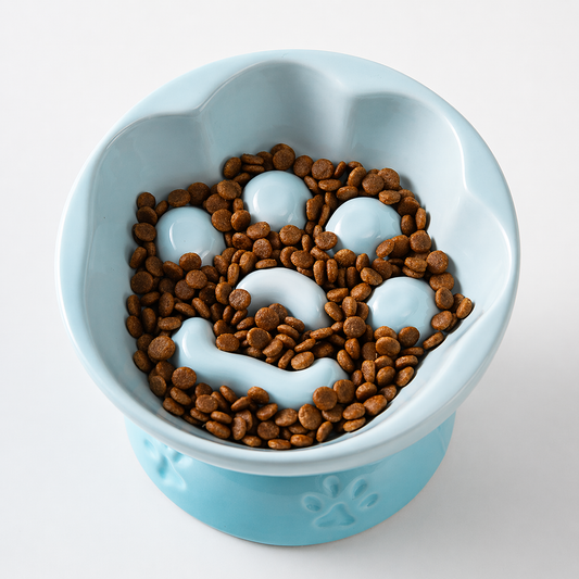 Ceramic Slow Feeder Bowl